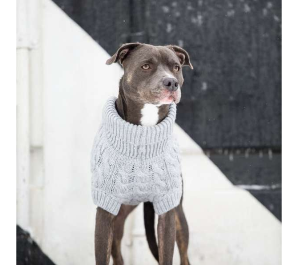 Grey - GF Pet Chalet Dog Sweater  - XS