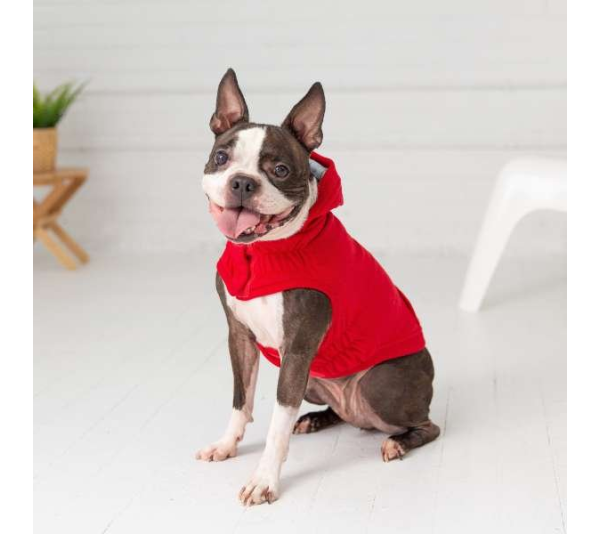 Red - GF Pet Elasto-Fit Urban Dog Hoodie - 3XL