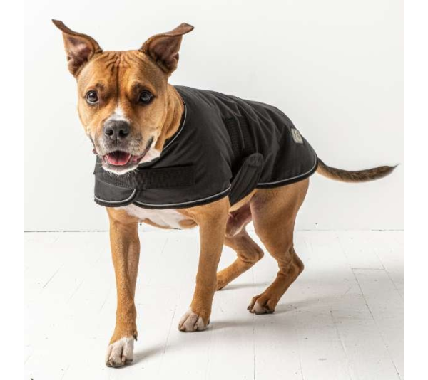 Black - GF Pet Dog Blanket Jacket - Large