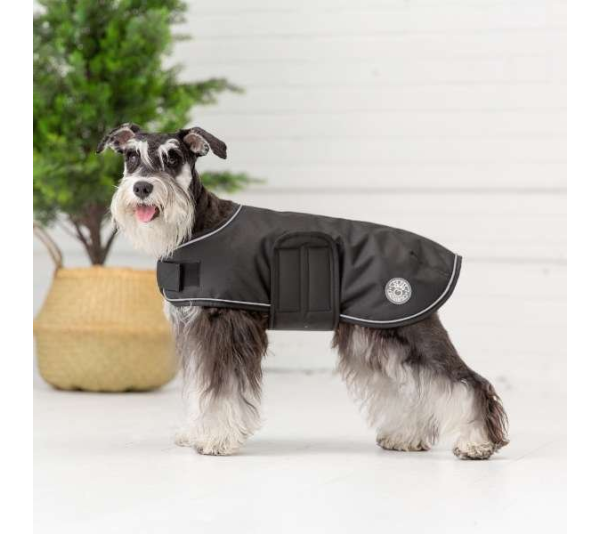 Black - GF Pet Dog Blanket Jacket - XL