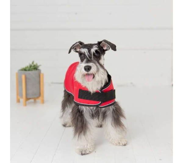 Red - GF Pet Dog Blanket Jacket - Small