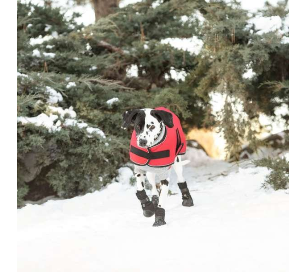 Red - GF Pet Dog Blanket Jacket - Small