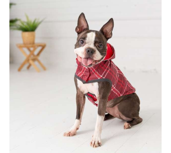 Red - GF Pet Reversible ElastoFit Raincoat  - XL