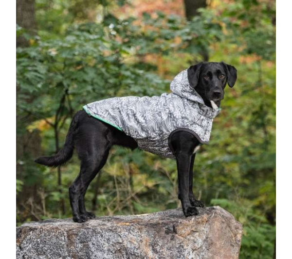 Green - GF Pet Reversible ElastoFit Raincoat  - XS