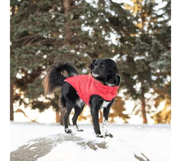 Red - GF Pet Reversible ElastoFit Chalet Jacket - Small