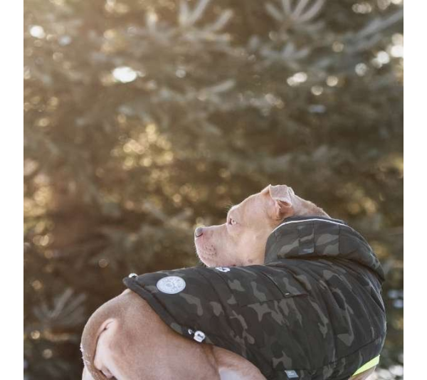 Camouflage - GF Pet  Recycled Parka - 2XL