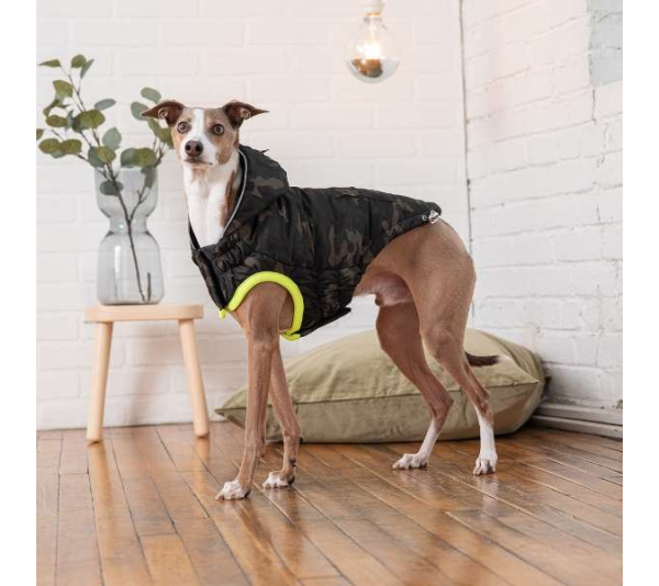 Camouflage - GF Pet  Recycled Parka - 4XL