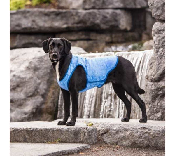 Blue - GF Pet ElastoFit Ice Vest - XL