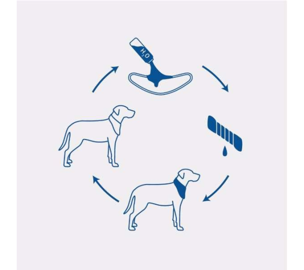 Blue - GF Pet  Ice Band   - Small/Medium