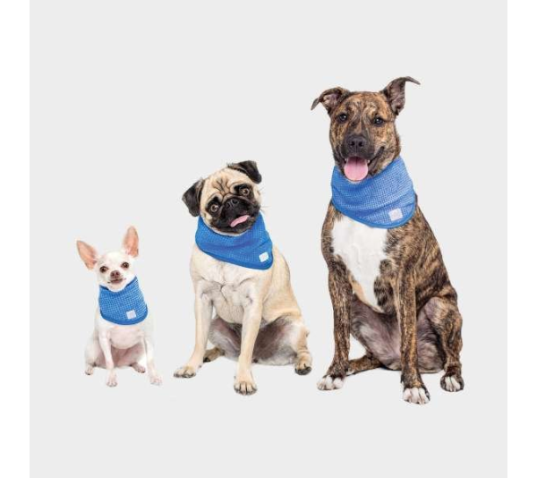 Blue - GF Pet  Ice Band   - XS