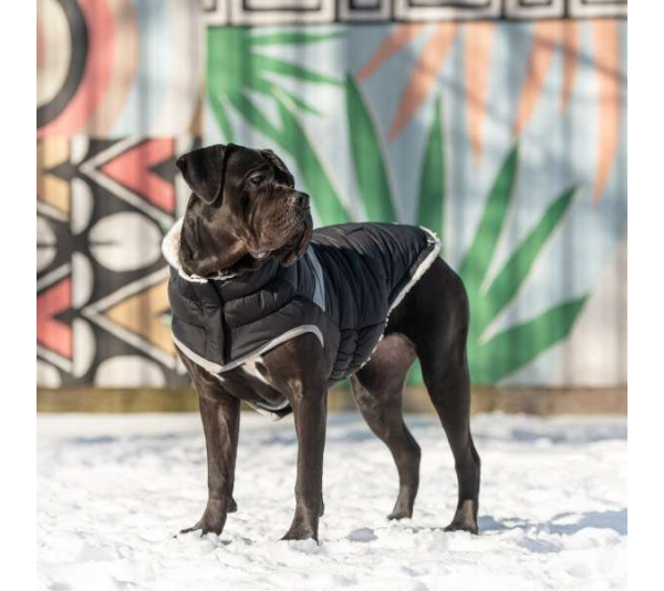 Black - GF Pet  Alpine Puffer - 2XS