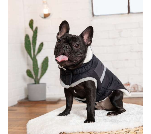 Black - GF Pet  Alpine Puffer - 4XL