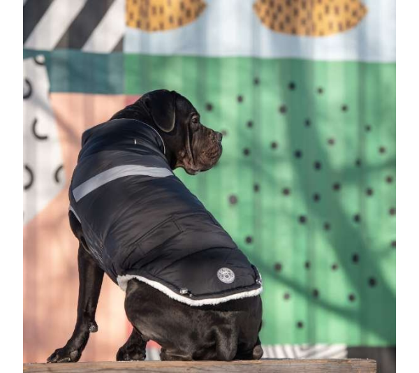 Black - GF Pet  Alpine Puffer - 4XL