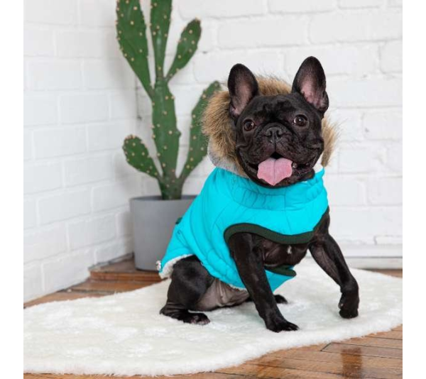 Aqua - GF Pet  Winter Sailor Parka  - 2XS