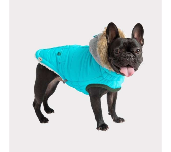 Aqua - GF Pet  Winter Sailor Parka  - 3XL