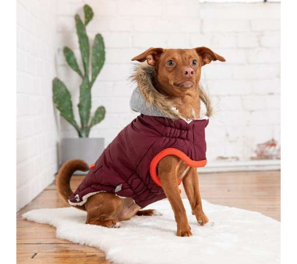 Burgundy - GF Pet  Winter Sailor Parka  - 2XS
