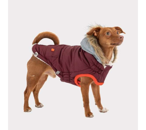 Burgundy - GF Pet  Winter Sailor Parka  - Large