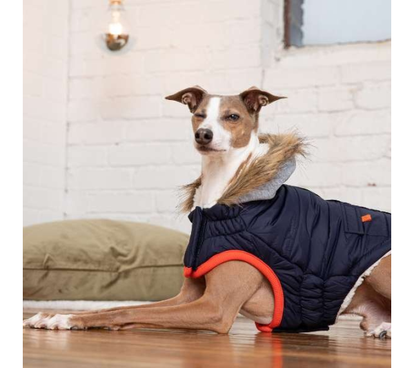 Navy - GF Pet  Winter Sailor Parka  - 2XS