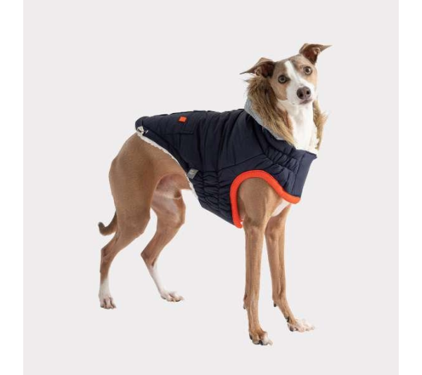 Navy - GF Pet  Winter Sailor Parka  - XS