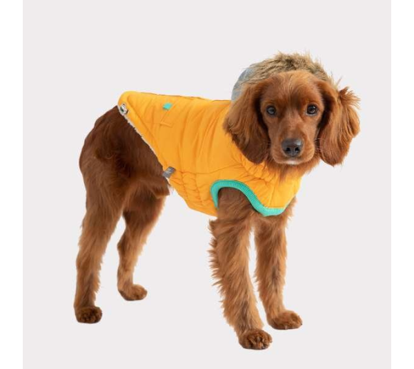 Yellow - GF Pet  Winter Sailor Parka  - 3XL