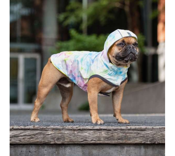 Neon Yellow - GF Pet Reversible Raincoat  - 4XL